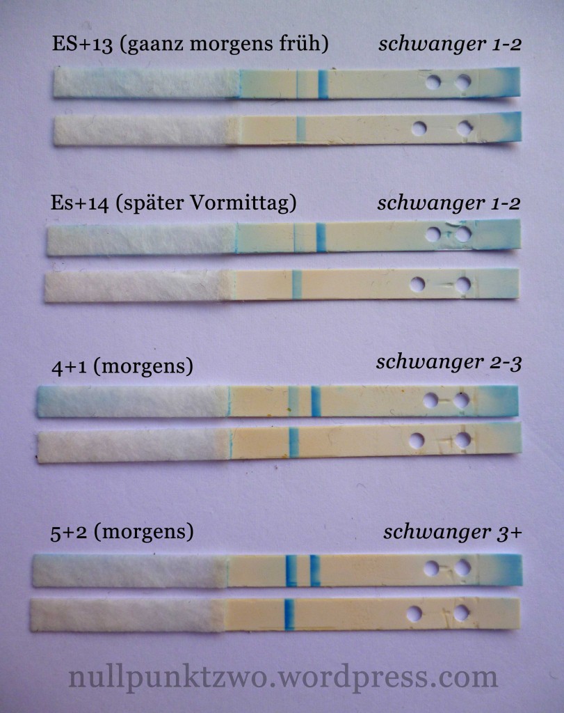 Schwangerschaftstests Clearblue Digital Testreihe auseinandergebaut Clearblue digital ES+13 bis SSW 5+2