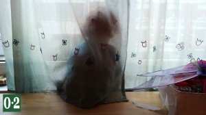 Lichtspiel Lichtspiel