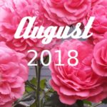 Im letzten Monat | August 2018