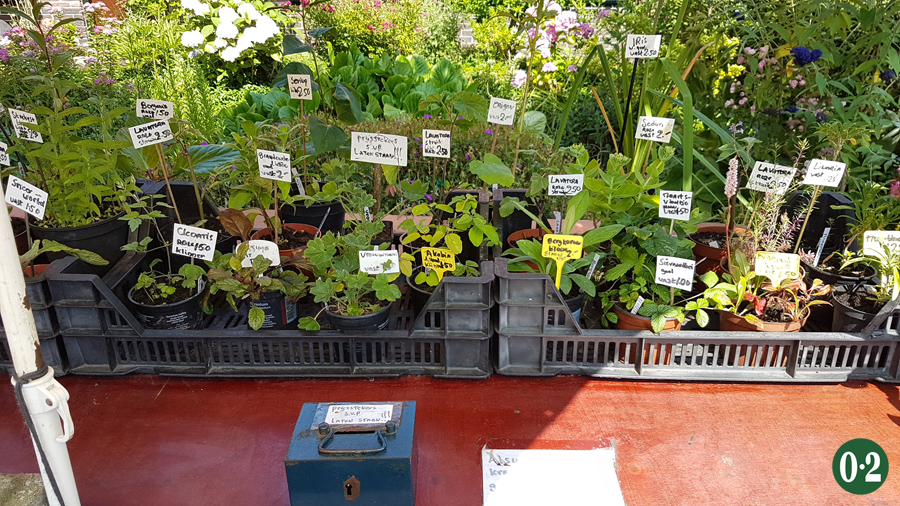 Verkauf von Samen und Stecklingen direkt am Gartenzaun