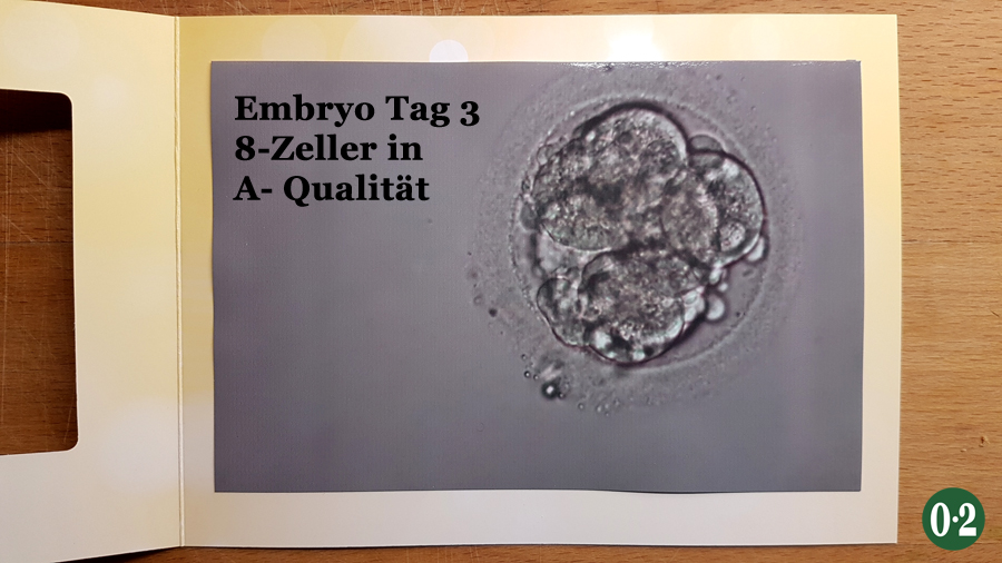 Embryo Tag3 8Zeller A-Qualitaet