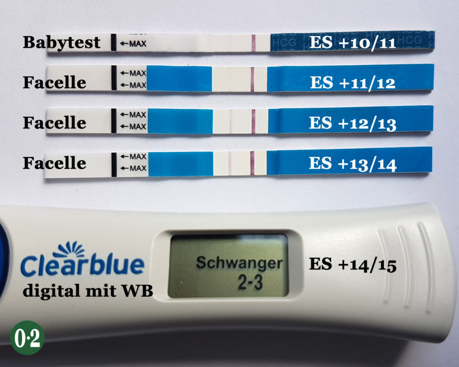 Testreihe 10er Babytest & Facelle & Clearblue digital Eisprung plus 10 bis 15 Tage