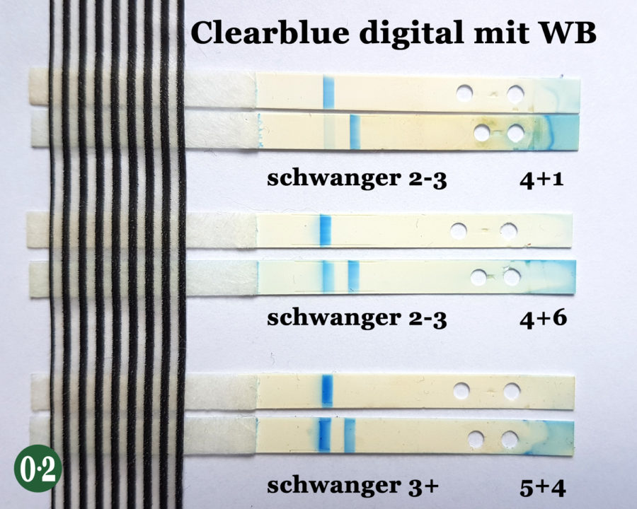 Testreihe Clearblue digital (auseinandergebaut) SSW 4+1 = 2-3, SSW 4+6 = 2-3 und SSW 5+4 = 3+