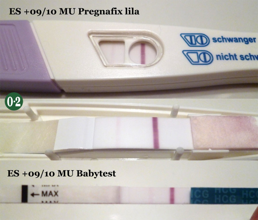 Test Test Test Schwangerschaftstest Nullpunktzwo